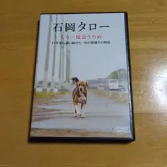 石岡タロー もう一度会うため DVD「感動の実話！」
