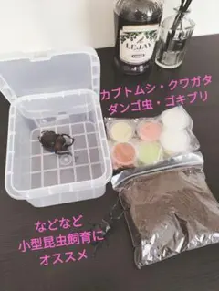 Item thumbnail for item fa2c6886-2ffe-41a7-a57c-d5089af9fb48