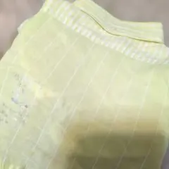 Item thumbnail for item 15205975-f96c-4d92-8861-352629d4c67e