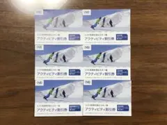 日本駐車場開発 株主優待 アクティビティ割引券 6枚