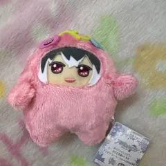 2025年最新】アイナナ百モンぬいの人気アイテム - メルカリ