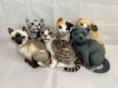 リアルヌイグルミ