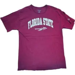 チャンピオン アメカジ カレッジTシャツ ボルドー L