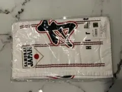 Item thumbnail for item c43f7dc6-c6b8-4013-b725-a439533ce504