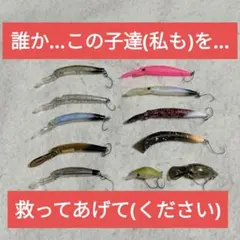 Item thumbnail for item 0301f1f1-bd41-4ddb-8d59-5e5bbdb908ba