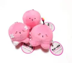 タコピー セット まとめ売り