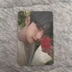 SEVENTEEN DK ドギョム トレカ