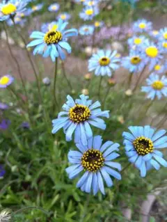 atsu様 リクエスト 2点 まとめ商品