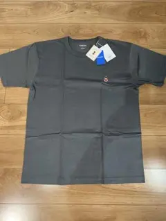 Item thumbnail for item 0511a86b-e2ac-49da-ae0f-7ed830526bb2