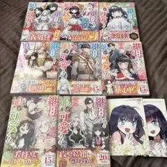 ☆継母の心得 小説1〜5巻＋漫画1巻ポストカード付 - メルカリ
