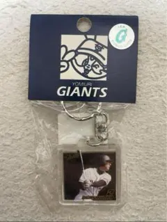 Item thumbnail for item a0852c22-e58b-4648-9162-c1df45756c9e