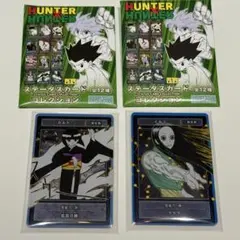 HUNTER×HUNTER ステータスカード カルト&イルミ