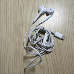 Item thumbnail for item 5a605190-e1cd-4ff8-85c7-7bcb254e66bc