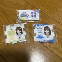 2026年最新】平岡海月の人気アイテム - メルカリ