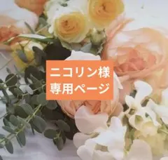 ニコリン様 リクエスト 2点 まとめ商品