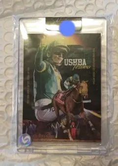 ウシュバテソーロ　ドバイワールドカップ　カード　ホロフォイル　川田将雅騎手 K*．様 ウシュバテソーロ ドバイワールドカップ カード 2023 川田将雅