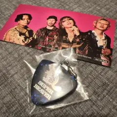 SUPER BEAVER チェキ　ピック 2025年最新】superbeaver ピックの人気アイテム - メルカリ