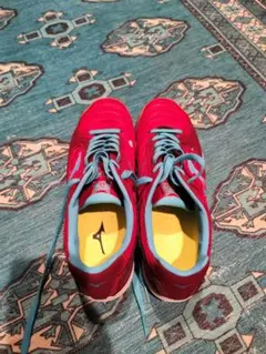 フットサルシューズ　室内　新品購入後１回着用　ミズノ　ランサメント　ウェーブプロ