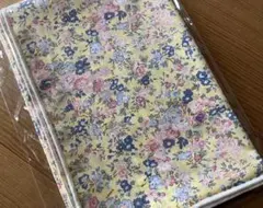 Item thumbnail for item 3b53a245-cb6a-47f9-92bf-cb1a542569fe