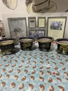 2026年最新】万年青 鉢の人気アイテム - メルカリ