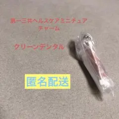 第一三共ヘルスケア ミニチュアチャーム クリーンデンタル