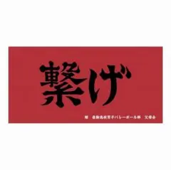 横浜高校 野球部 横高 甲子園 応援 メガホン 校歌 うちわ タオル