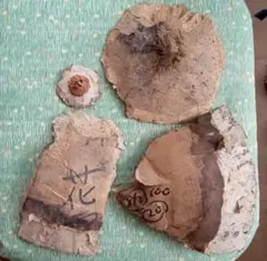 ※専用です。【空(ソラ)からの贈り物】長岡大花火の思い出(残骸品:玉皮全球残り) 空(ソラ)からの贈り物】長岡大花火の思い出(残骸品:その6) - メルカリ