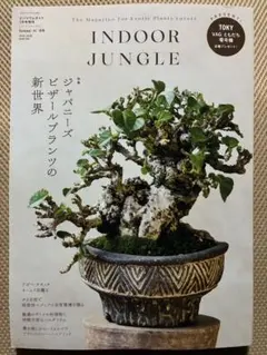 INDOOR JUNGLE Issue n°08 ビザールプランツ特集