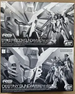 RG 1/144 ストライクフリーダム&デスティニー ディアクティブ