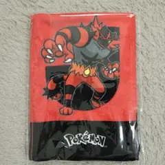 希少レア ポケモン ポケモンセンター 2003 カイオーガ グラードン