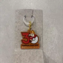 【匿名配送】ポケモン ポケチャーム30周年ロゴマスコット2 ホゲータ