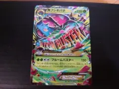 2025年最新】フシギバナex 20thの人気アイテム - メルカリ