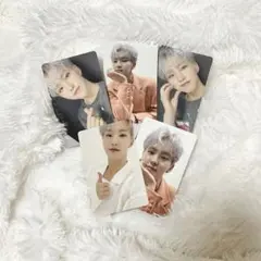 ホシ　舞い落ちる花びら　トレカ