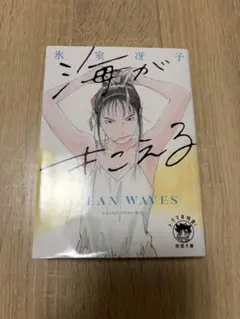 【氷室冴子】海がきこえる