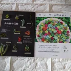 多肉植物図鑑 美しいセダムの寄せ植え　2冊セット販売