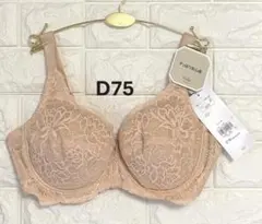 トリンプ　ストーリー　TR477WP　フルカップ　ブラジャー　ベージュ　D75のサムネイル