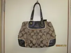 2026年最新】コーチ COACH アシュレイの人気アイテム - メルカリ