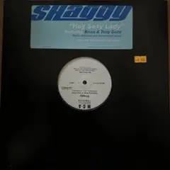 Shaggy Hey Sexy Lady レコード