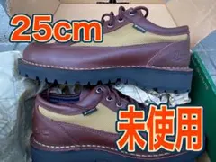 DANNER FIELD LOW ゴアテックス 25cm GORE-TEXのサムネイル