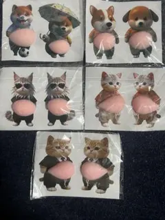 おなかシール　犬　猫　セット　ぷくぷく　立体　マシュマロ　話題　新作　3D