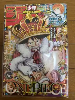 週刊少年ジャンプ 2007年22-23合併号 ワンピース巻頭カラー - メルカリ