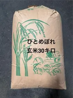 令和7年大分産ヒノヒカリ未検査30キロ玄米 期間限定4月30日までの特別 