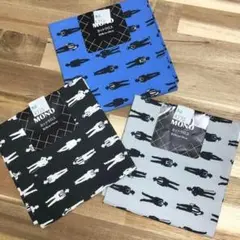 Item thumbnail for item faf63531-e4d1-4015-acc3-665d78a2d8e4