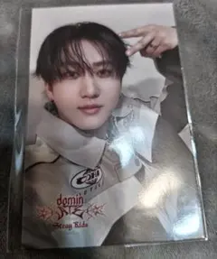 Stray Kids dominate オンラインくじ ステッカー チャンビンB