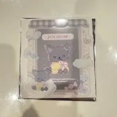 Jochum ピーハイ 硬質カードケース