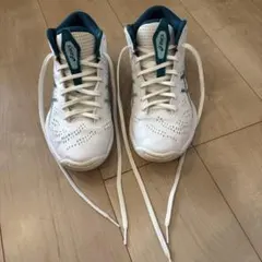 アシックス　ゲルフープV16 25.0cmのサムネイル