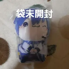 kaito もちぴこ にっこり (片目閉じ)