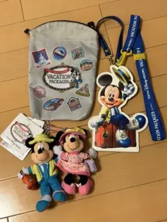 ⭐︎a様専用⭐︎ディズニー　バケーションパッケージグッズ