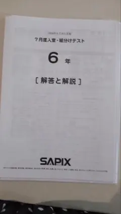 SAPIX 4年 7月度入室 組分けテスト 2024年国,理,社,算,解答解説付