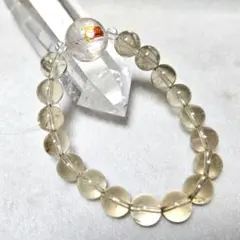 ‪✿tamago様 ご確認ください